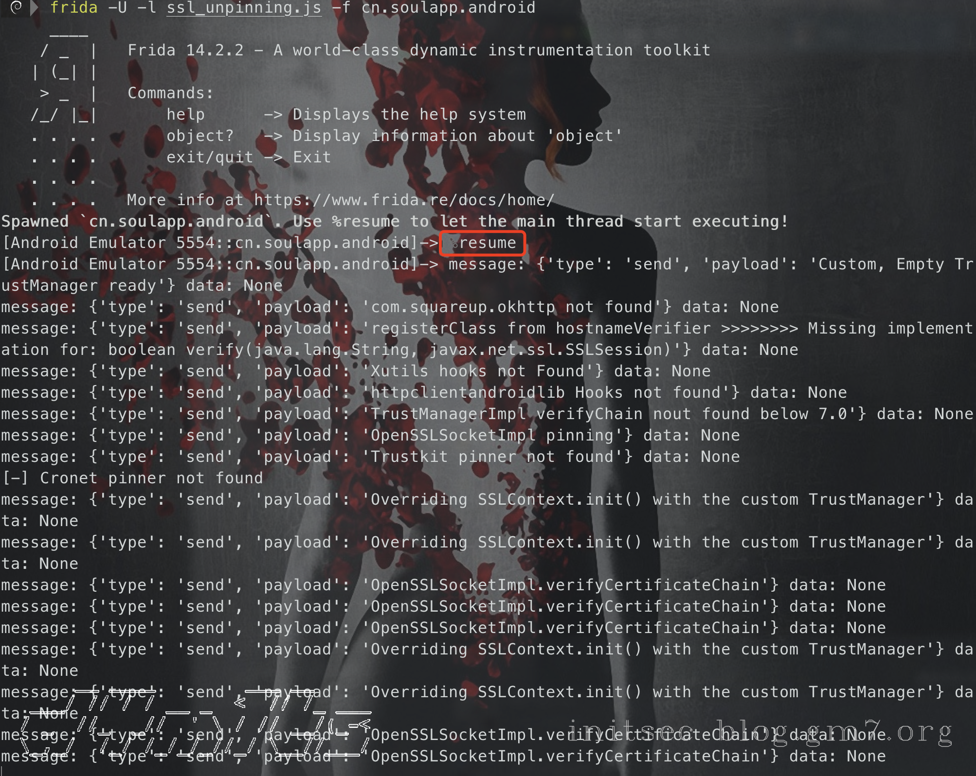 image-20201225155705540